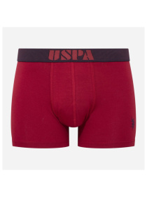 Набір трусів US Polo модель P80521SETBNA Фото