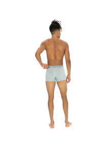 Набор трусов US Polo модель P80543SETBNGM Фото