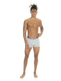 Набір трусів US Polo модель P80571SETBGMN Фото