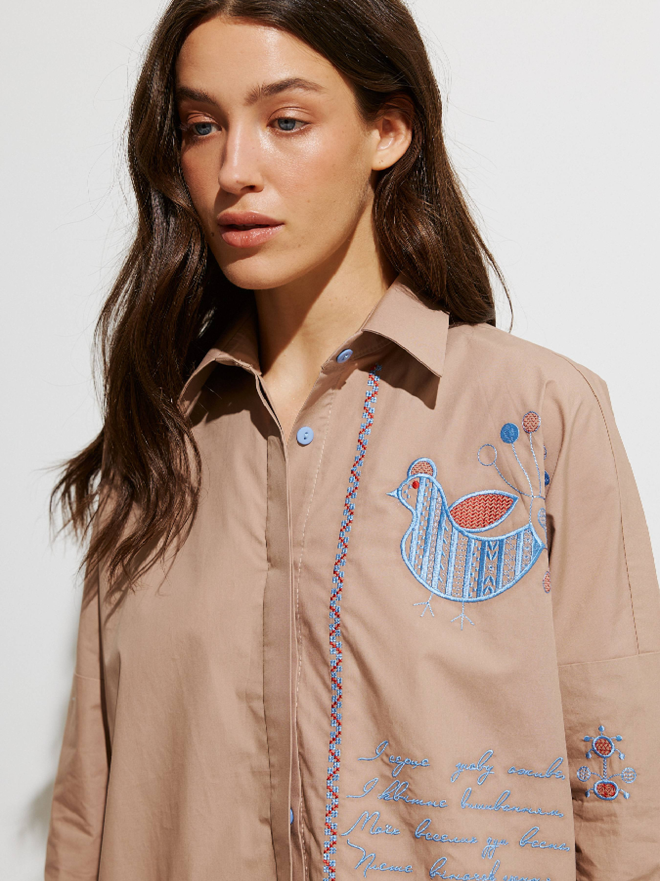 Рубашка повседневная RicaMare модель RM4256-5-25DB Фото