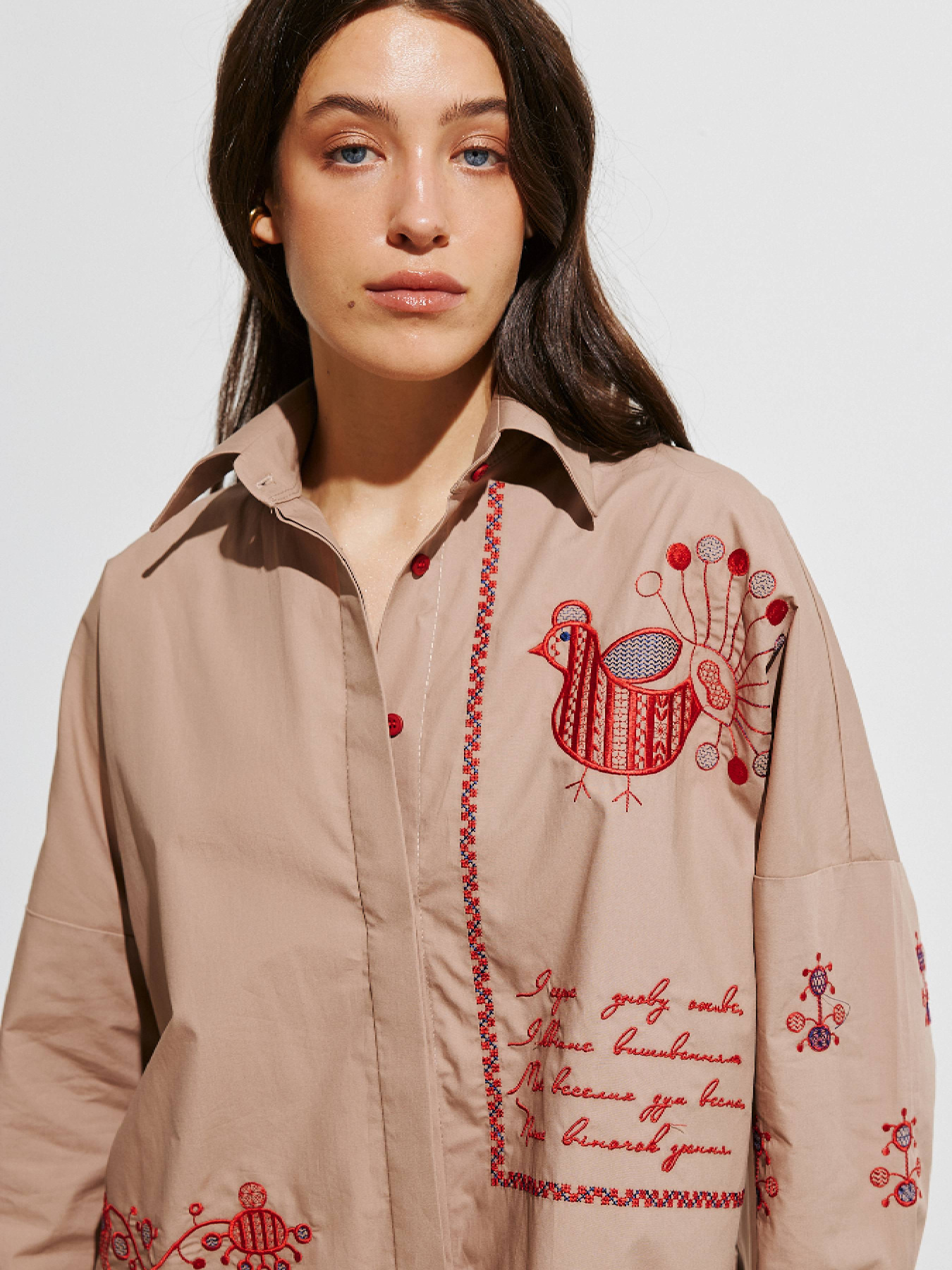 Рубашка повседневная RicaMare модель RM4256-11-25DB Рубашка повседневная RicaMare модель RM4256-11-25DB Фото