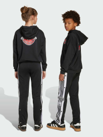 Штани повсякденні Adidas Adicolor модель JX1091 Фото