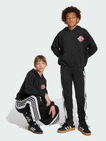 Повседневные штаны Adidas Adicolor модель JX1091 Фото