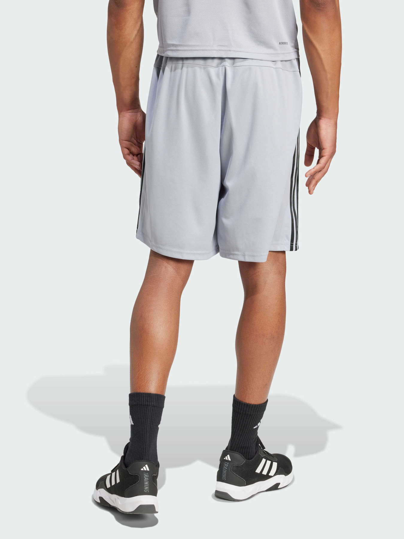 Шорты спортивные Adidas модель JX2772 Фото