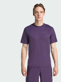 Футболка спортивная Adidas модель JW7441 Фото