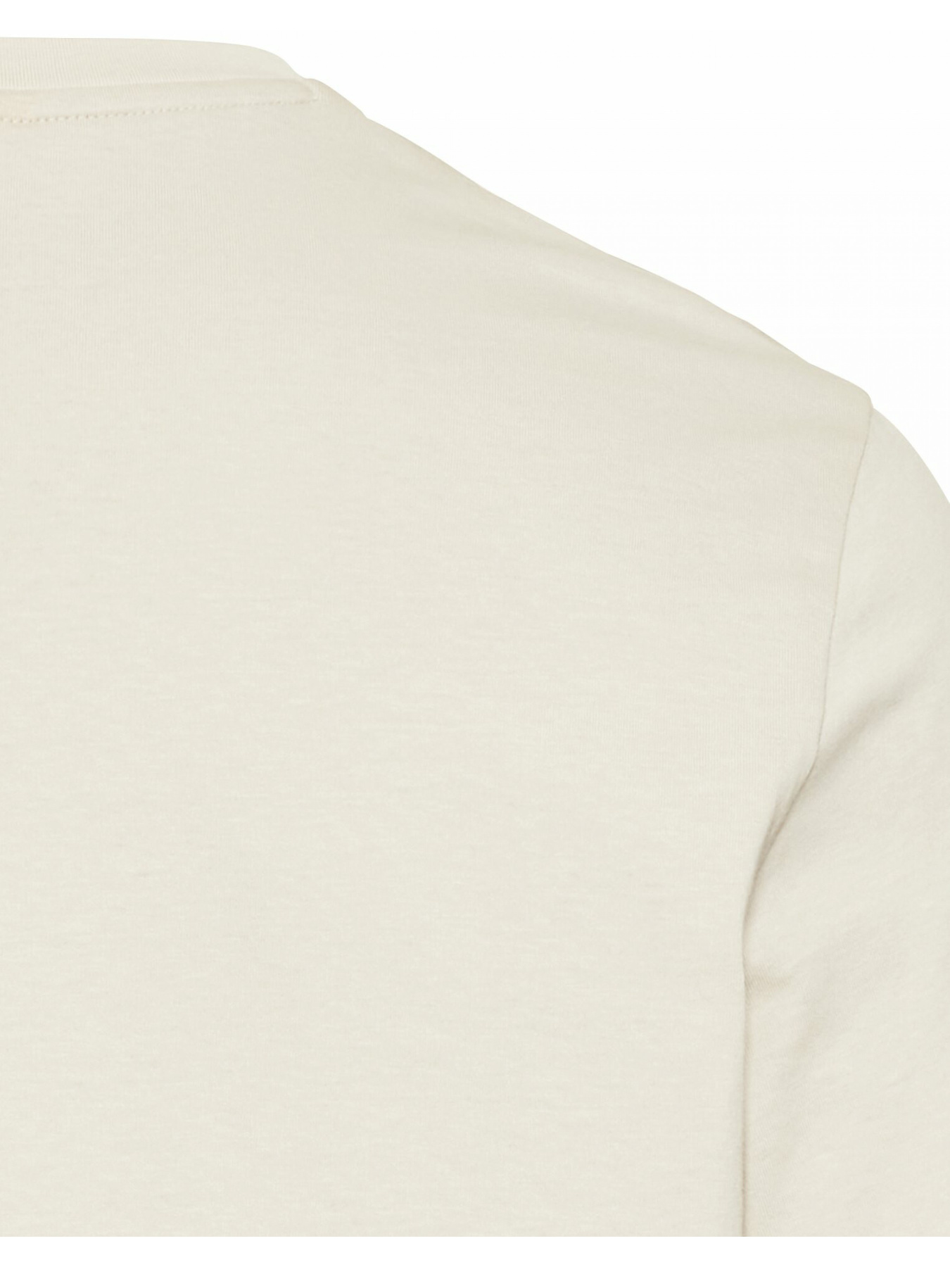 Футболки и поло Camel Active T-shirt 1/2 arm модель 409700-5T02-16 Фото
