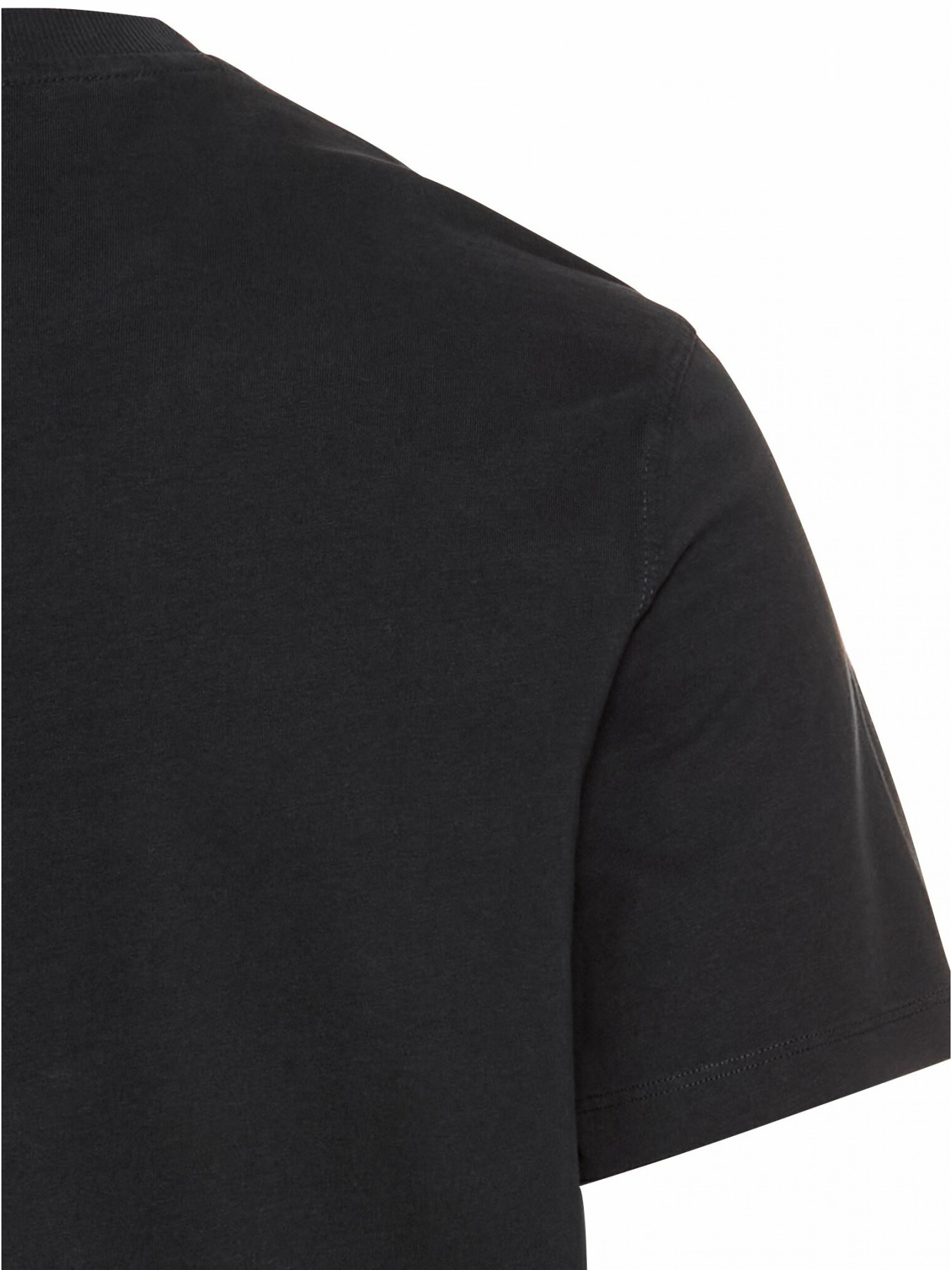 Футболка Camel Active модель 409700-5T17-48 Фото