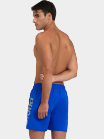 Шорты для плавания Arena модель 006444-860 Фото