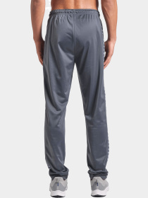 Спортивні штани Arena модель 002699-552 Фото