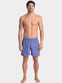 Шорти для плавання Arena модель 006443-940 Шорти для плавання Arena модель 006443-940 Фото