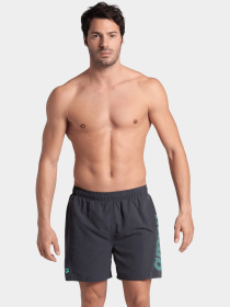 Шорты для плавания Arena модель 006444-580 Фото