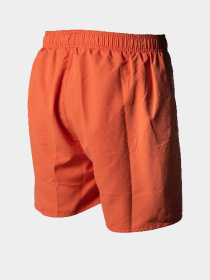 Шорты для плавания Arena модель 006444-390 Фото