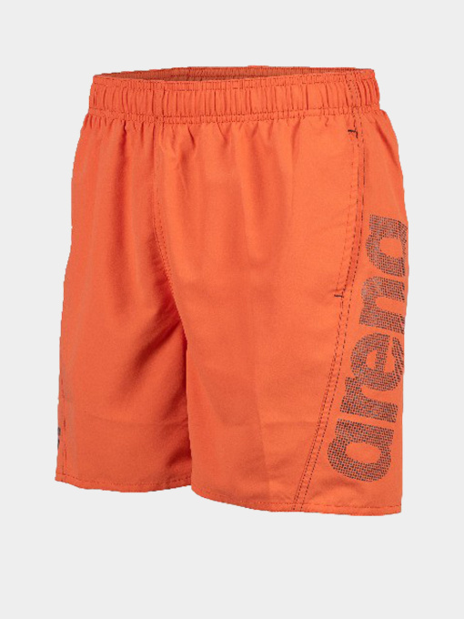 Шорты для плавания Arena модель 006444-390 Фото