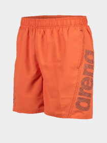 Шорты для плавания Arena модель 006444-390 Фото