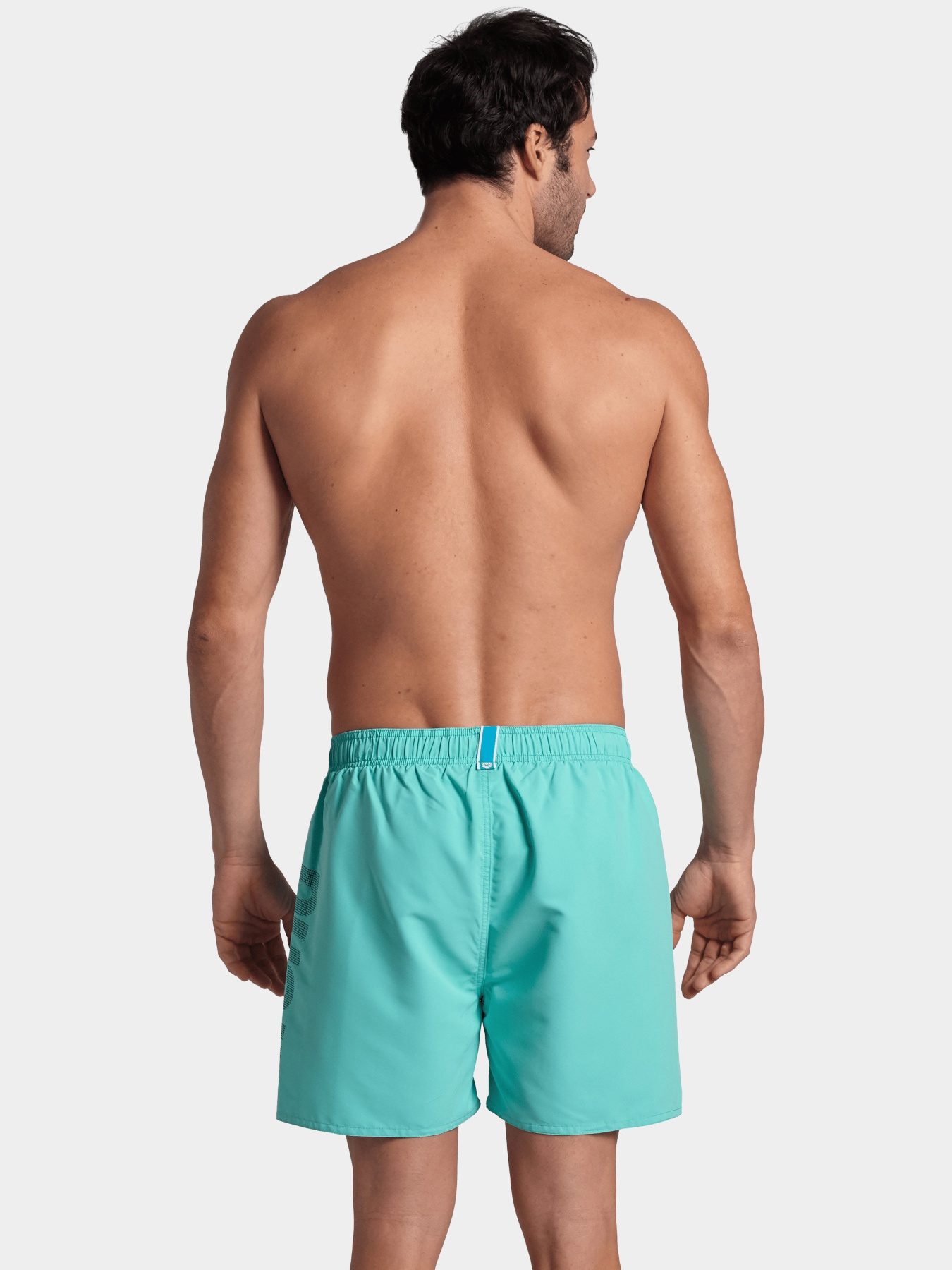 Шорты для плавания Arena модель 006444-870 Фото