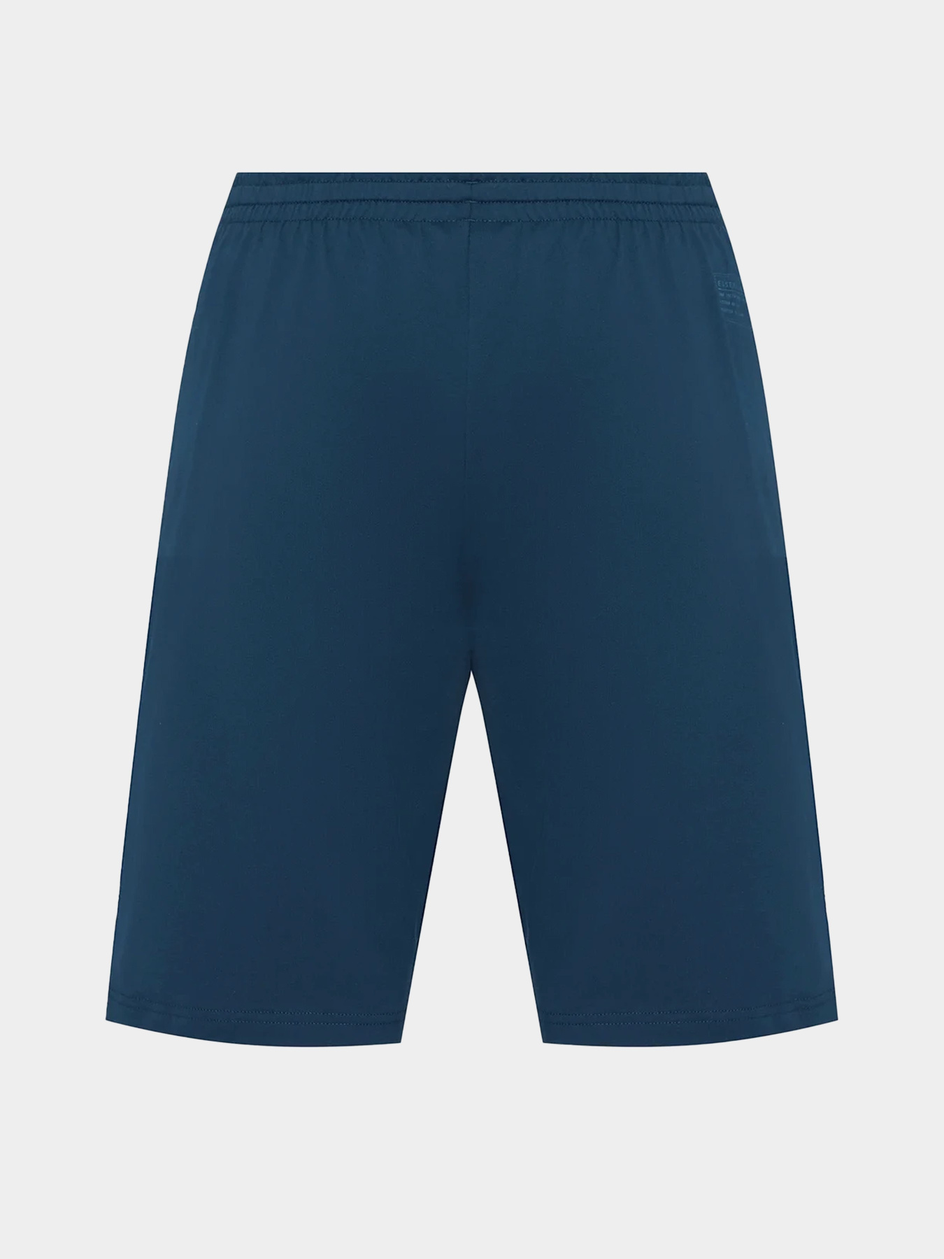 Шорти Arena модель 007700-700 Фото