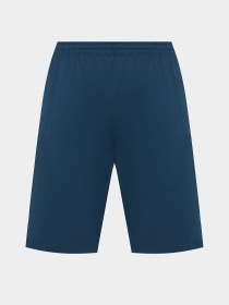 Повседневные шорты Arena модель 007700-700 Фото