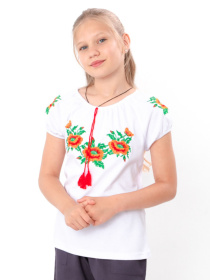 Вышитая рубашка Носи своє модель 6111-038-22-maki-gladx Фото