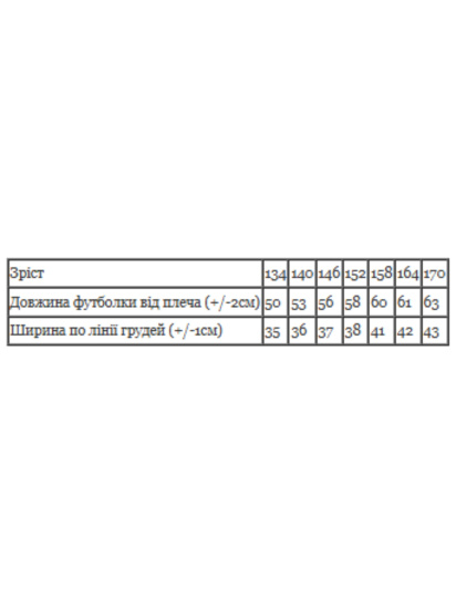 Футболка для хлопчика (підліткова), Антрацит Носи Своє (6021-4) модель 6021-4-temnij-graft-kosmonavt — фото 3 - INTERTOP