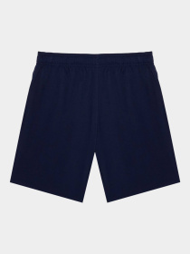 Одежда для пляжа PUMA Swim Boys Medium Length модель 938138 Фото