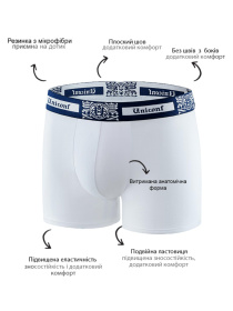 Набір трусів (3 шт.) модель UNIBB32RSETMX Фото