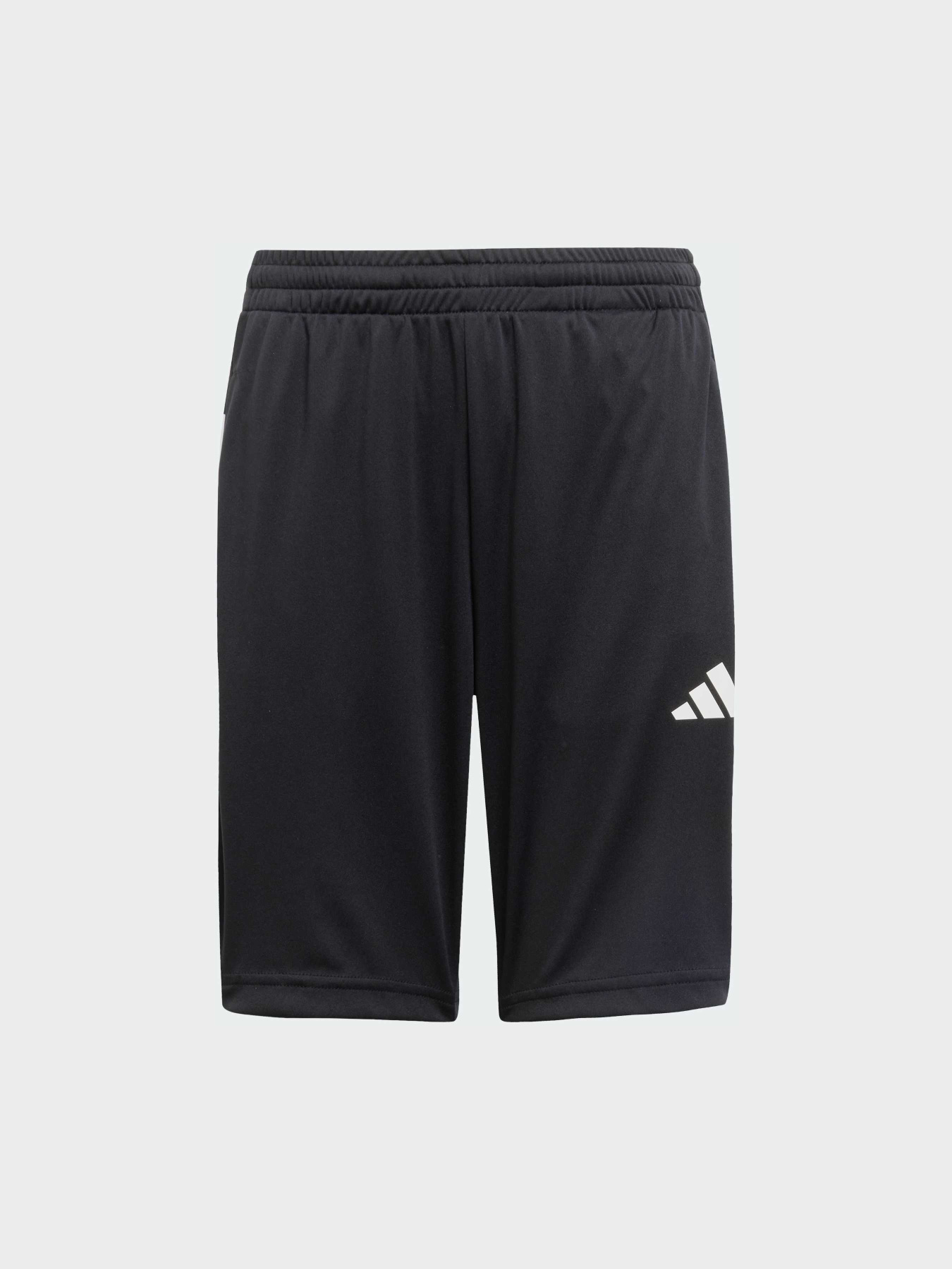 Шорти спортивні Adidas модель JJ1038 Фото