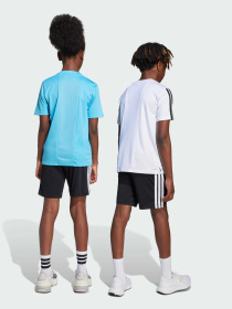 Спортивні шорти Adidas модель JJ1038 Фото