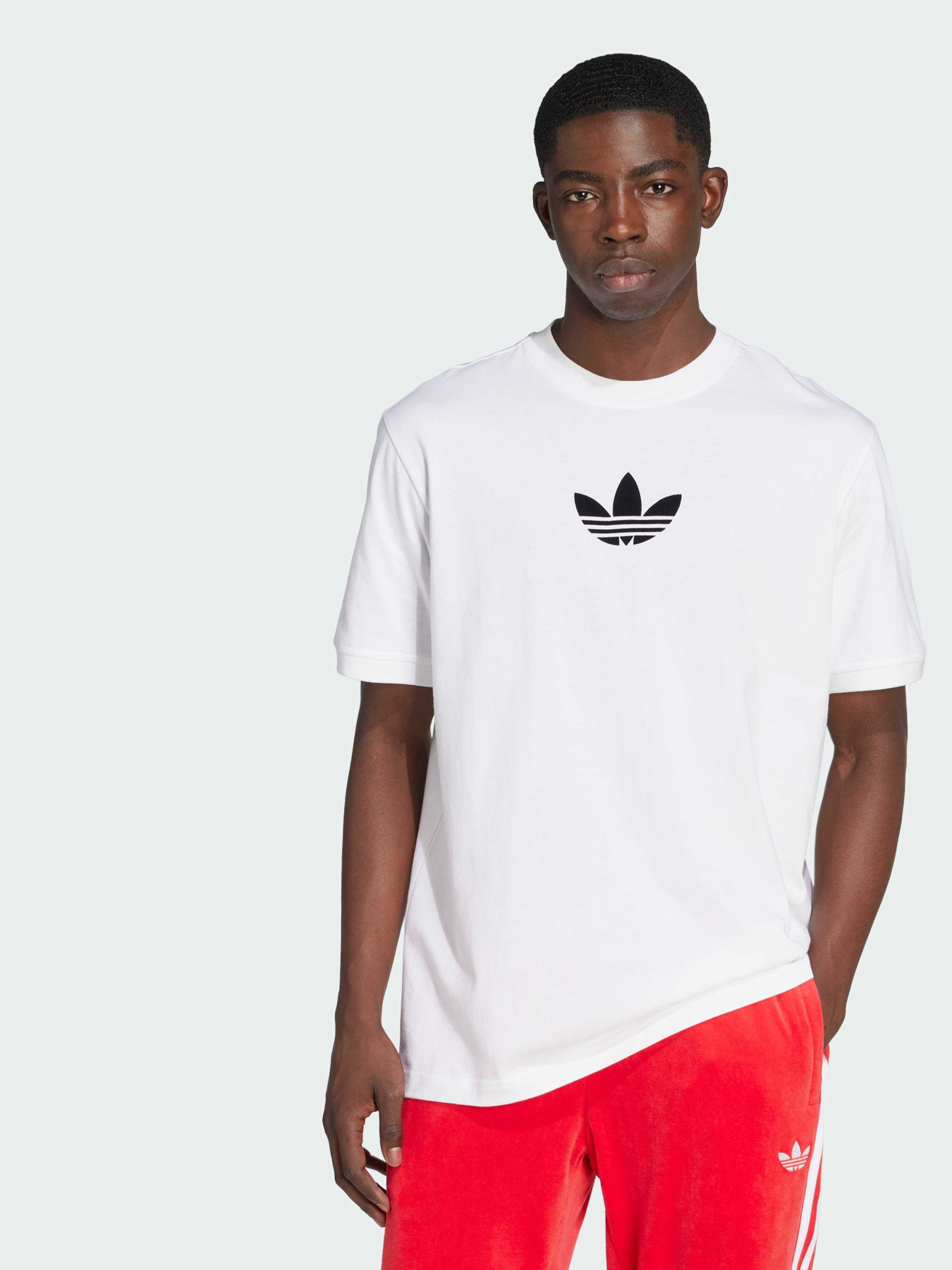 Футболка Adidas Adicolor модель JX1515 Фото