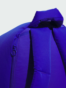 Рюкзак Adidas модель JZ4428 Фото