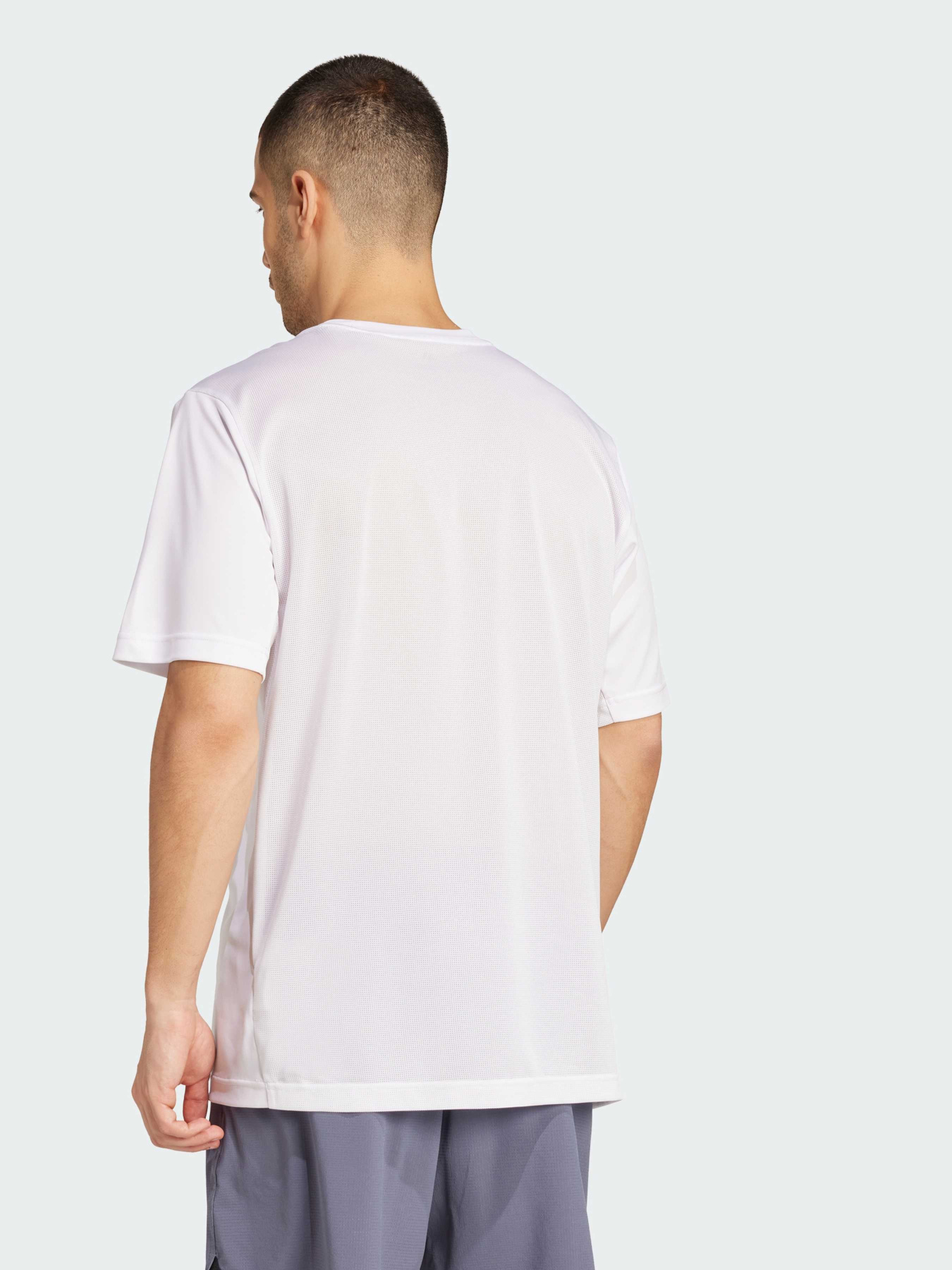 Спортивная футболка Adidas модель JZ8489 Спортивная футболка Adidas модель JZ8489 Фото