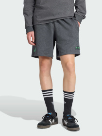 Шорты спортивные Adidas модель JZ2213 Фото