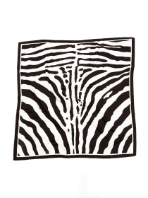 Платок Famo модель APL-297_03 Фото