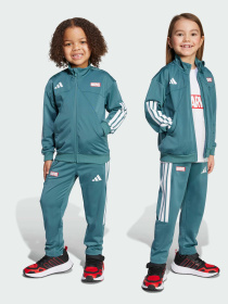 Спортивный костюм Adidas Marvel модель JM0834 Фото