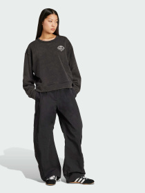 Свитшот Adidas Graphics модель JX1276 Фото