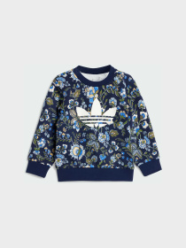 Спортивний костюм Adidas Graphics модель JY3019 Фото