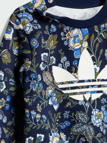 Спортивний костюм Adidas Graphics модель JY3019 Фото