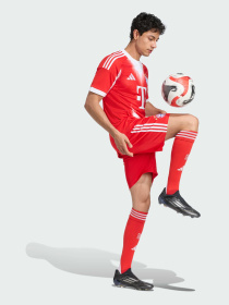 Шорты спортивные Adidas модель JJ2133 Фото