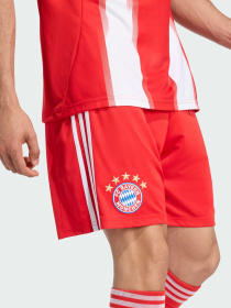 Шорты спортивные Adidas модель JJ2133 Фото