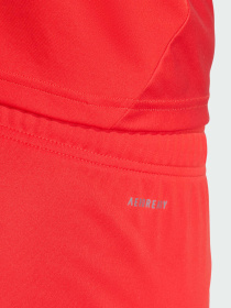 Шорты спортивные Adidas модель JJ2133 Фото