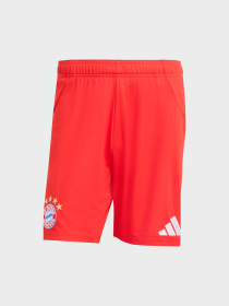 Шорты спортивные Adidas модель JJ2133 Фото