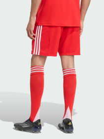 Спортивні шорти Adidas модель JJ2133 Спортивні шорти Adidas модель JJ2133 Фото