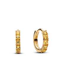 Хупи PANDORA модель 263849C01 Фото