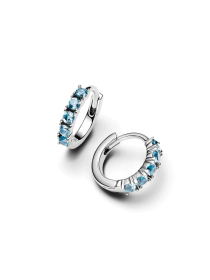 Серьги-кольца PANDORA модель 293849C01 Фото