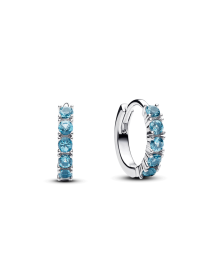 Серьги-кольца PANDORA модель 293849C01 Фото