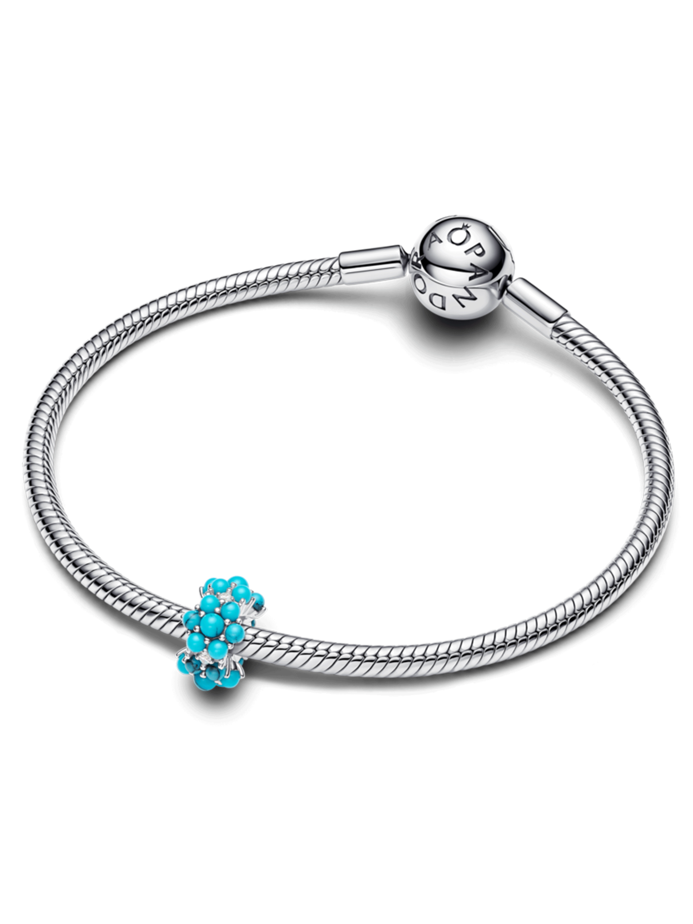 Класичні PANDORA модель 793897C02 Фото