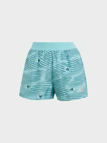 Спортивні шорти Adidas модель JN6142 Фото