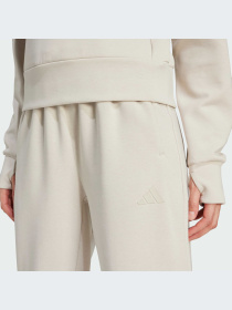 Брюки Adidas модель JW3398-KZ Фото