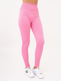 Леггинсы спортивные Giulia модель UP-00001323 Фото