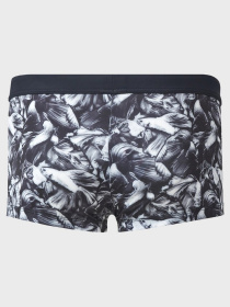 Плавки Geronimo модель 2026b1 Фото