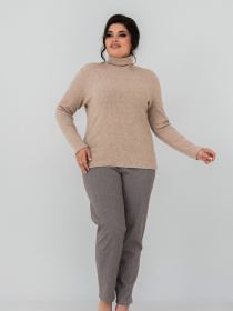 Водолазка All Posa модель ap102148p-bezhevij Фото